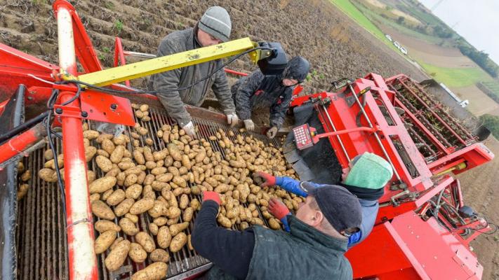 © REWE International AG Das Team am Feld
