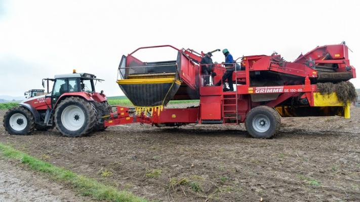 © REWE International AG Traktor Ernte