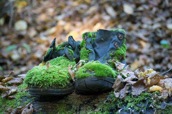 Alte Schuhe mit Moos