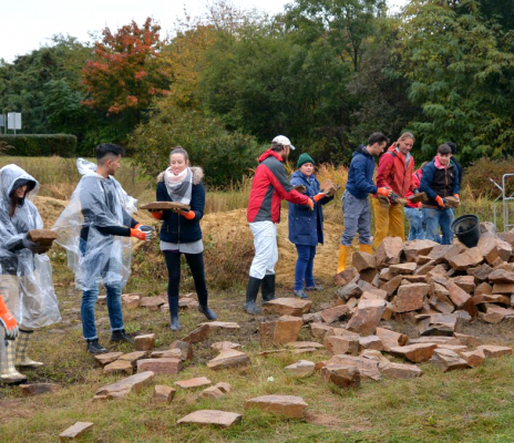 Bau des Trocknemauerhabitats im Wiener Donaupark