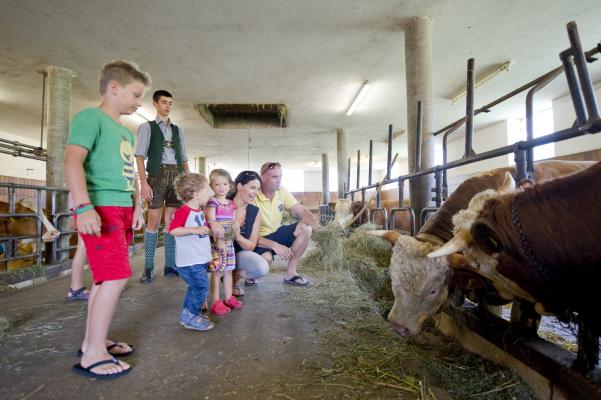 Kinder im Kuhstall, Urlaub am Bauernhof