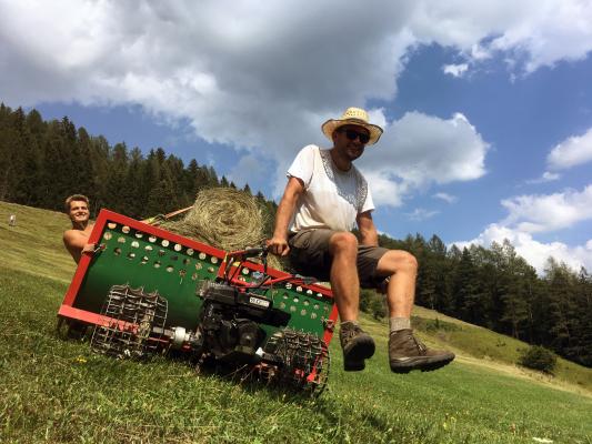 Christian Hatzenbichler beim Abheuen am Steilhang.