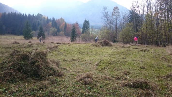 helfende Hände, hier bei einer Schwendeaktion auf den Gößler Wiesen 2018, sind für den Erhalt der Narzissenwiesen wichtig