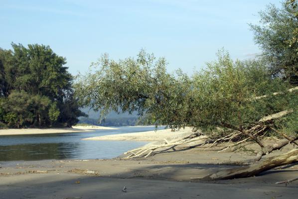 Nationalpark Donau-Auen