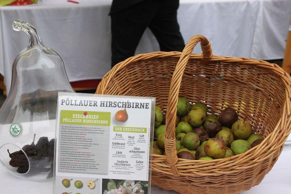 Pöllauer Hirschbirnen sind eine Spezialität mit geschützter Ursprungsbezeichnung