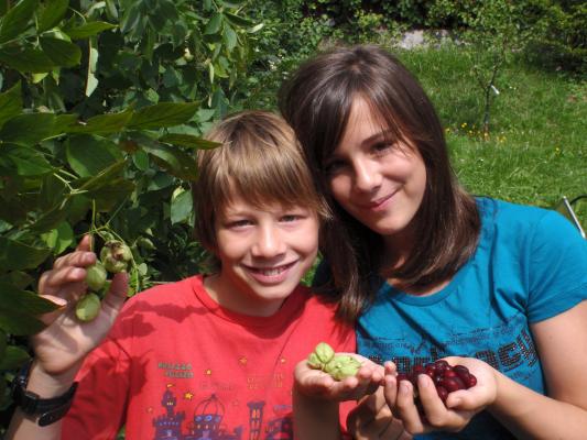 Kinder beim Niederösterreichischen Heckentag