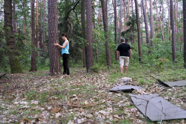 Yoga im Wald
