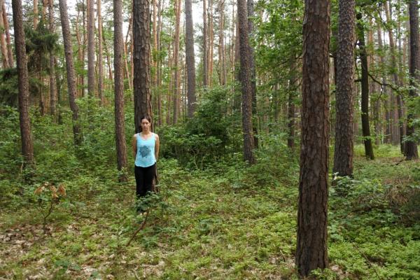Meditation im Wald