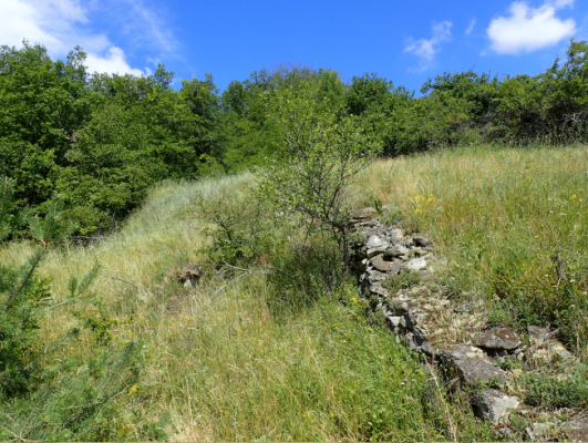 Verbrachender Halbtrockenrasen mit Resten einer Lesesteinmauer nördlich von Retz