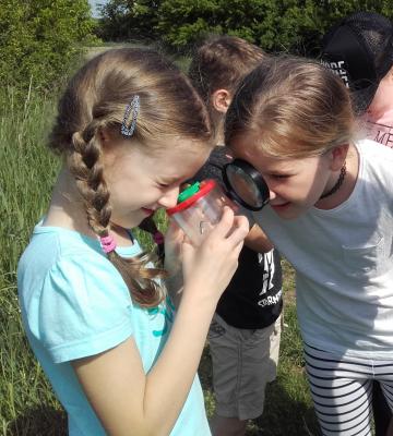 der Artenvielfalt in der Rabensburger Au auf der Spur, Kinder bei einer Exkursion