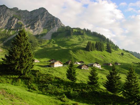 alpe steris