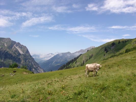 großes walsertal