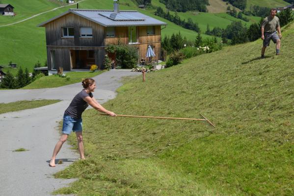 Bergbauern