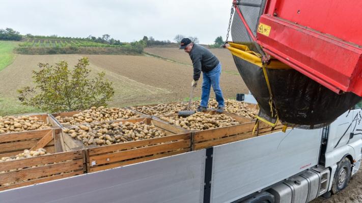 c REWE International AG
