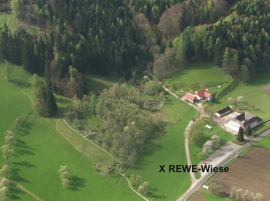 Luftaufnahme mit Lage der Wiese "Himmelreich"