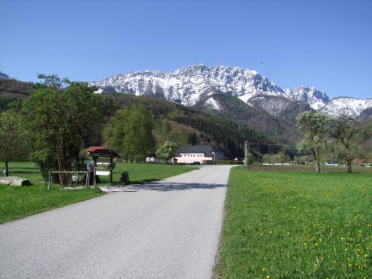 Blick von der Wiese "Himmelreich" zur Kremsmauer, im Hintergrund schneebedecktes Gebirge, im Vordergrund Wiese, Straße und Streuobstbäume