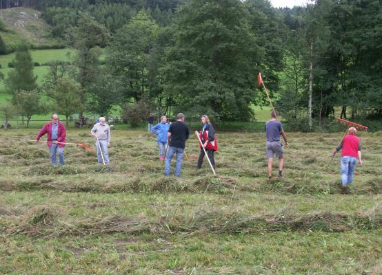 Erste Mahd der REWE-Wiese, Mitglieder des Vereins beim Heuen