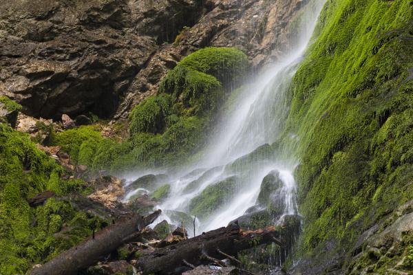 Wasserfall im Hartelsgraben, Nationalpark Gesäuse