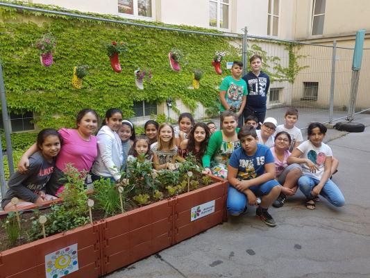 Gruppenbild der Kinder der VS Rötzergasse vor Hochbeeten im Schulhof