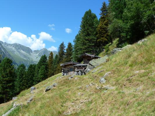 Steile Almfäche im Gschnitztal in Tirol.