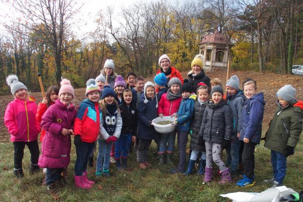 Die zweite Klasse der Volksschule Uetzgasse beim Einsäen der regionalen Wiesenblumenmischung 