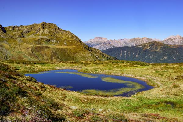 Moor in Partenen, Vorarlberg