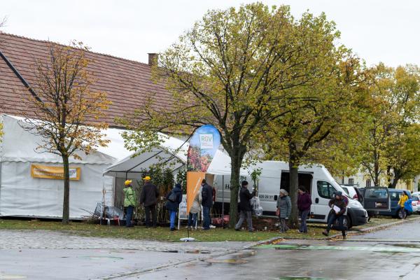 NÖ Heckentag 2019