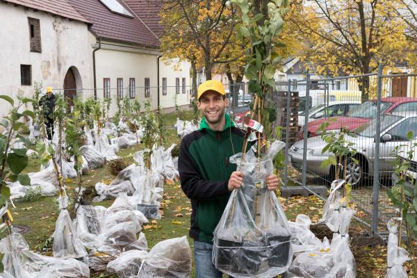 NÖ Heckentag 2019