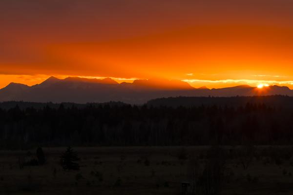 Sonnenuntergang über dem Ibmer Moor