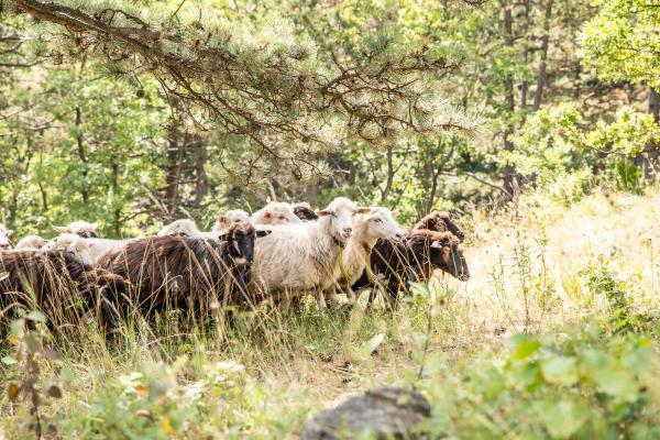 Frauen im Naturschutz Renate Frank