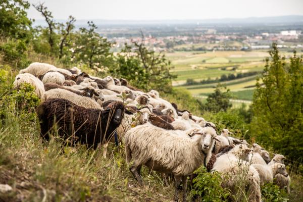 Frauen im Naturschutz Renate Frank