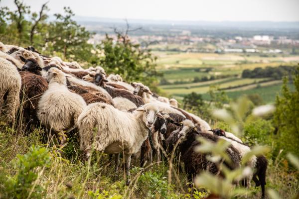 Frauen im Naturschutz Renate Frank