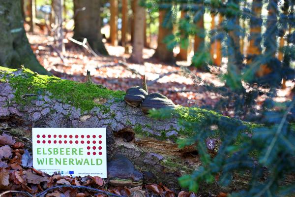 Schild "Elsbeere Wienerwald"
