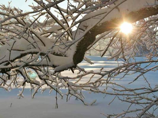 09_Rotwild_Winter_(c)_pixabay_cocoparisienne © (c) pixabay