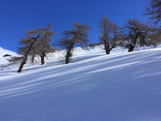 Schneeschuhwanderung
