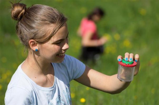 tagfalter monitoring