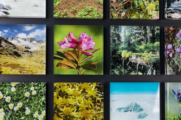 Nationalpark Gallery