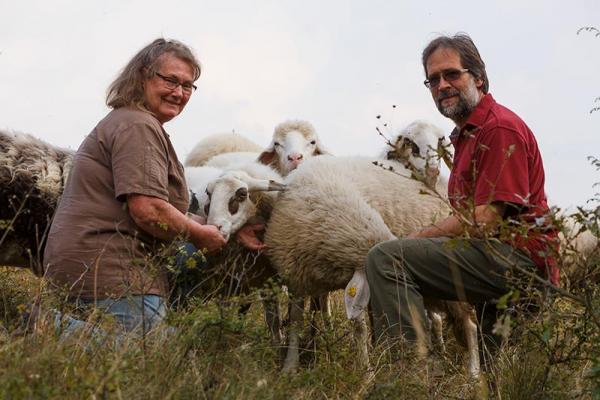 Frauen im Naturschutz_FLORA-Zillner-Elisabeth-und-Erich-Zillner mit Schafen
