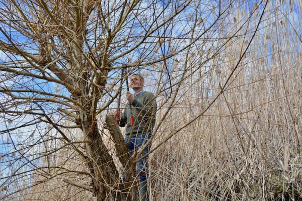Organisator Werner Petutschnig schneidet ein paar Äste ab, um die Wände am Schluss zu markieren (c) Kropshofer © Organisator Werner Petutschnig schneidet ein paar Äste ab, um die Wände am Schluss zu markieren (c) Kropshofer