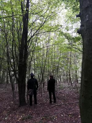 2 Personen im schattigen Wald