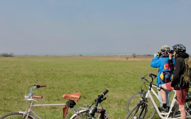 Auf dem Fahrrad geht es entlang von Nationalparkflächen zu den verschiedenen Standorten