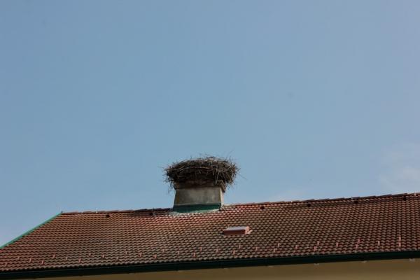 Horst eines Weißstorches