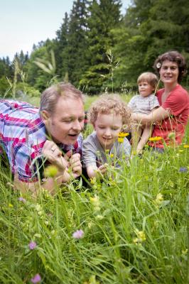 Familienausflug auf die Hohe Wand, Eltern und Kinder bestaunen die bunten Blütenpracht der artenreichen Wiesen