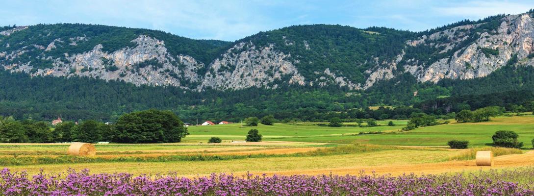 Panorama Hohe Wand