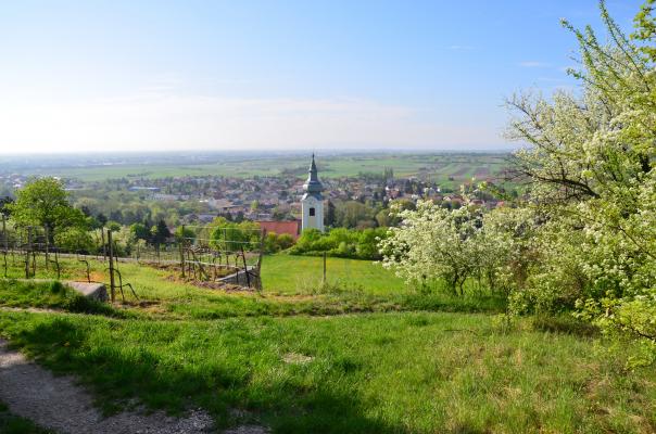 Eine ganzheitliche Medthode zum Kennenlernen... wenn du das tust, was du immer getan hast, wirst du auch bekommen, was du immer bekommen hast Stadtgemeinde Bad Vslau