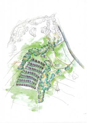 Lageplan Streuobstwiese Fehring