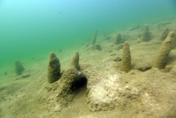 Die ca. 6000 Jahre alte urgeschichtliche Siedlung im Keutschacher See/Kärnten gehört sei 2011 zum UNESCO-Welterbe Prähistorische Pfahlbauten um die Alpen