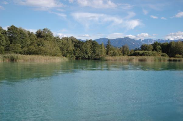 Uferzone im Europaschutzgebiet am Wörthersee