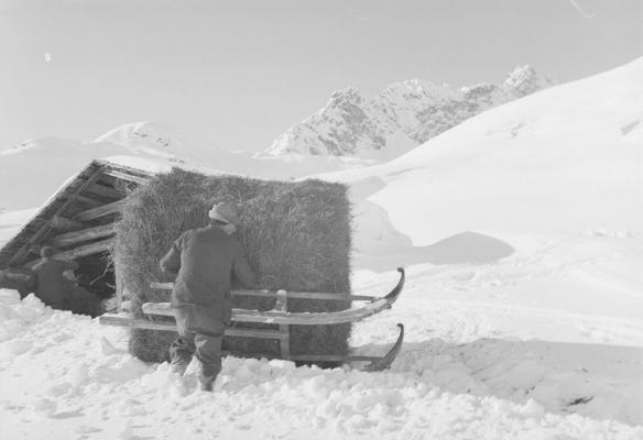 Heutransport mit Schlitten im Winter