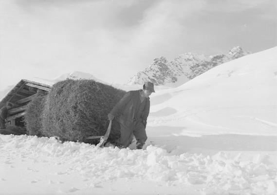 Heutransport mit Schlitten im Winter